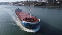 Bulktransportør til salgs