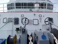 Bulktransportør til salgs