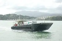 Landingsfartøy, tank til salgs