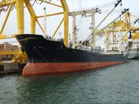 Bulktransportør til salgs