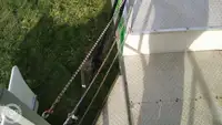 Containerskip til salgs