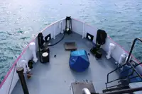 General Cargo/Multi-purpose til salgs