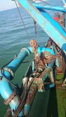Dredge til salgs