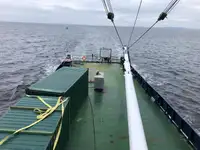Kjøleskip til salgs