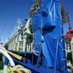 Purse seiner til salgs