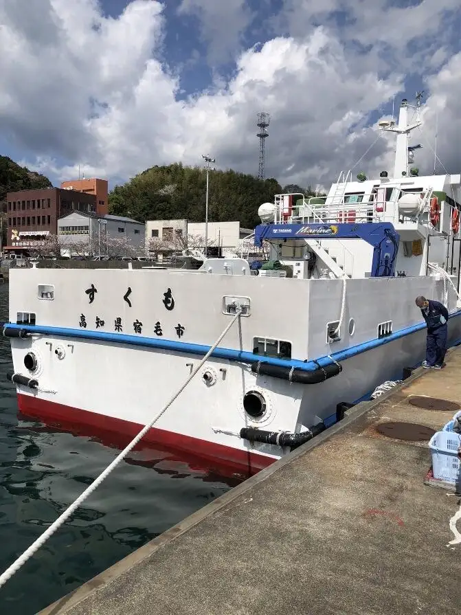 Bulktransportør til salgs
