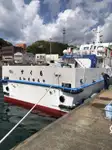 Bulktransportør til salgs