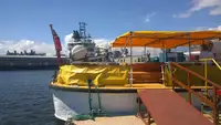 Cruiseskip til salgs