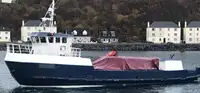 Arbeidsbåter til salgs