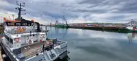 Katamaran til salgs