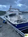 Cruiseskip til salgs