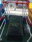 Containerskip til salgs