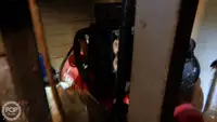 Tråler til salgs
