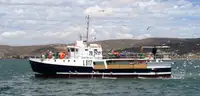 Purse seiner til salgs
