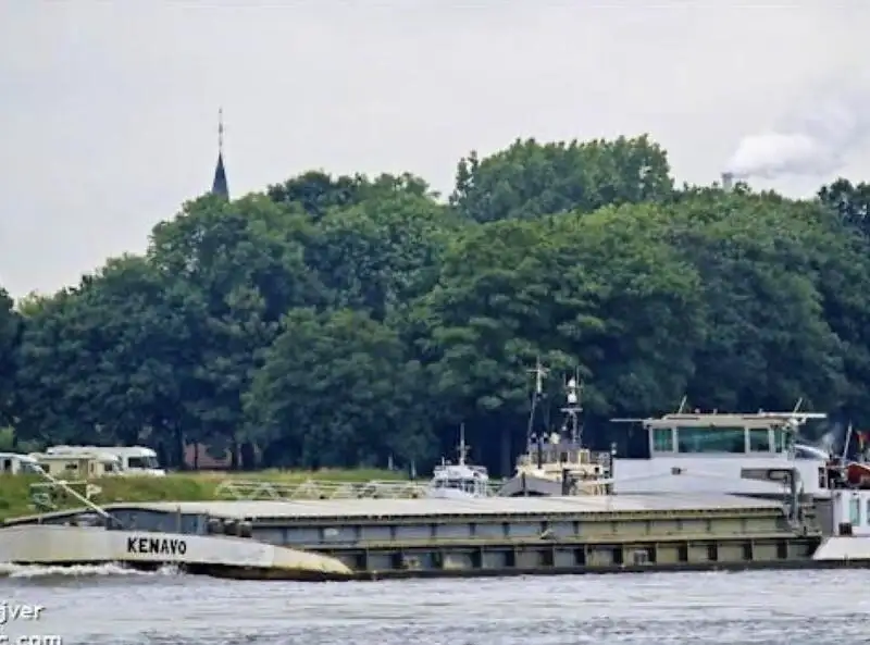 Bulktransportør til salgs