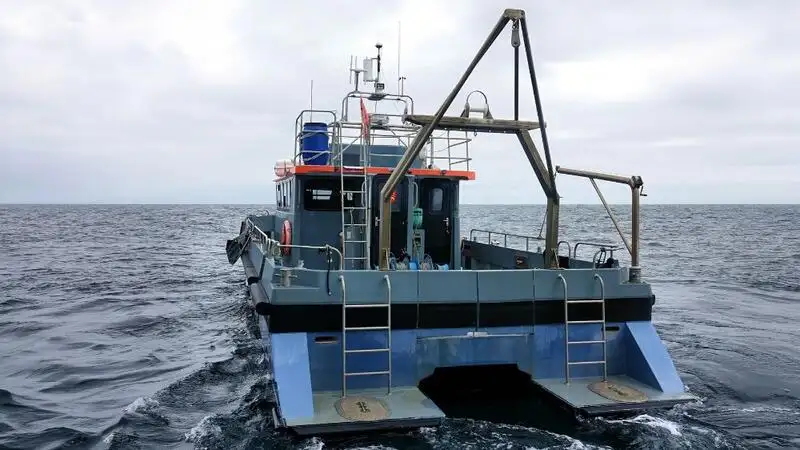 Containerskip til salgs
