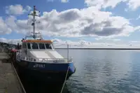 Patruljebåt til salgs