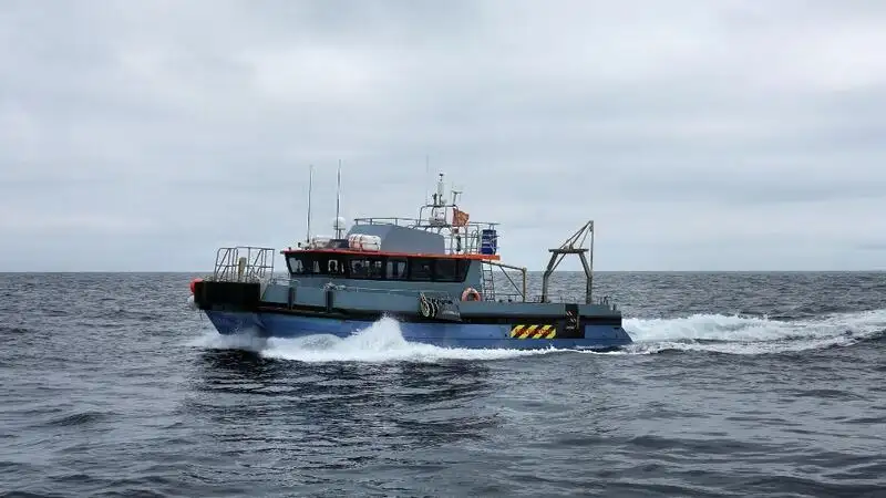 Containerskip til salgs