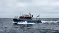 Containerskip til salgs