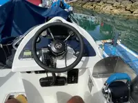 Cruiseskip til salgs