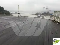 Cruiseskip til salgs