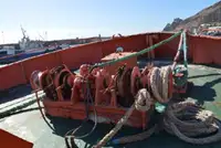 Containerskip til salgs