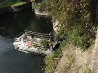Containerskip til salgs