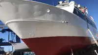 Cruiseskip til salgs