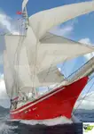 Cruise skip til salgs