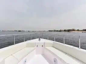 Cruiseskip til salgs