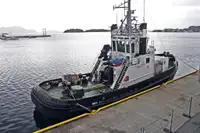 Slepebåt til salgs