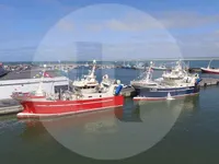 Fiskefartøy til salgs