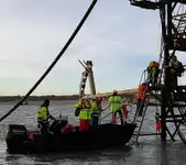 Containerskip til salgs