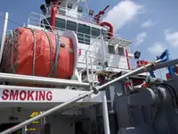 Bulktransportør til salgs