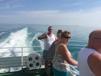 Cruiseskip til salgs