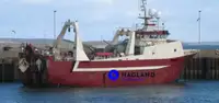 Stor frysetråler til salgs