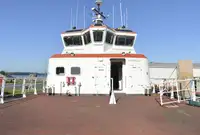 Katamaran til salgs