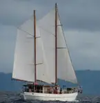 Dredge til salgs