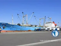 Kjøleskip til salgs