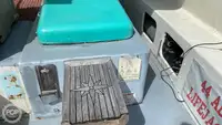 Cruiseskip til salgs