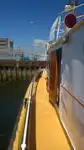 Cruiseskip til salgs