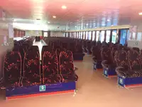 Cruiseskip til salgs