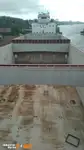 Containerskip til salgs
