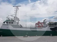 Fiskefartøy til salgs