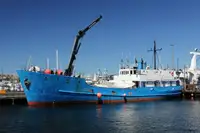 Bulktransportør til salgs