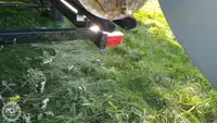 Containerskip til salgs