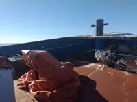 Slepebåt til salgs