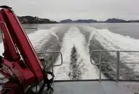 Arbeidsbåter til salgs