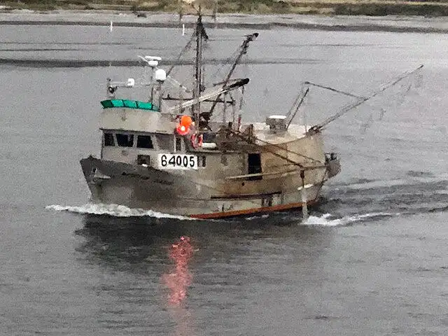 Langlinjetråler til salgs