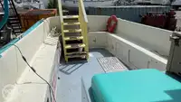 Cruiseskip til salgs